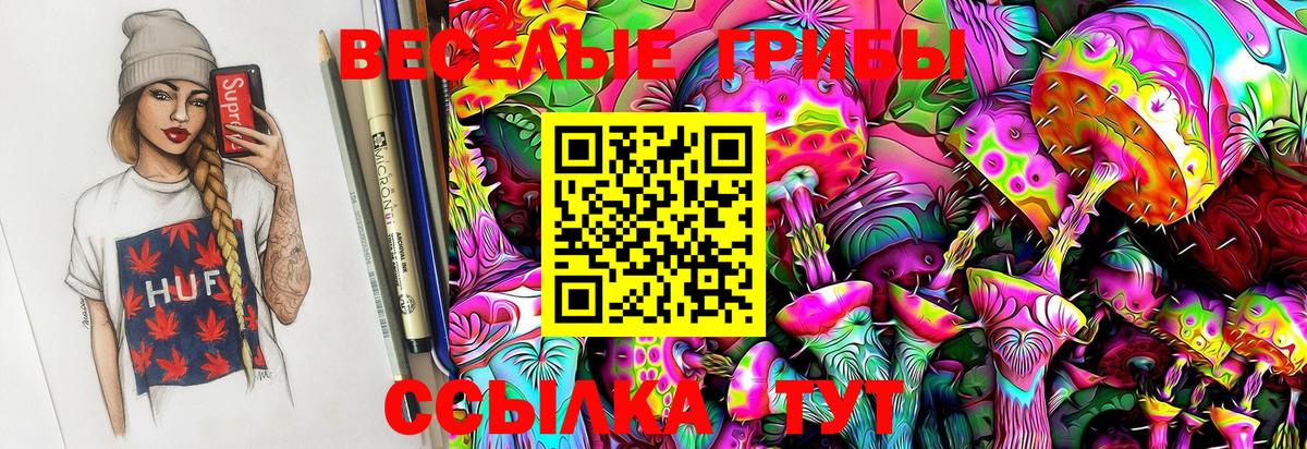 где продают   Галлюциногенные грибы Magic Shrooms  Вход с VPN  Сергиев Посад 